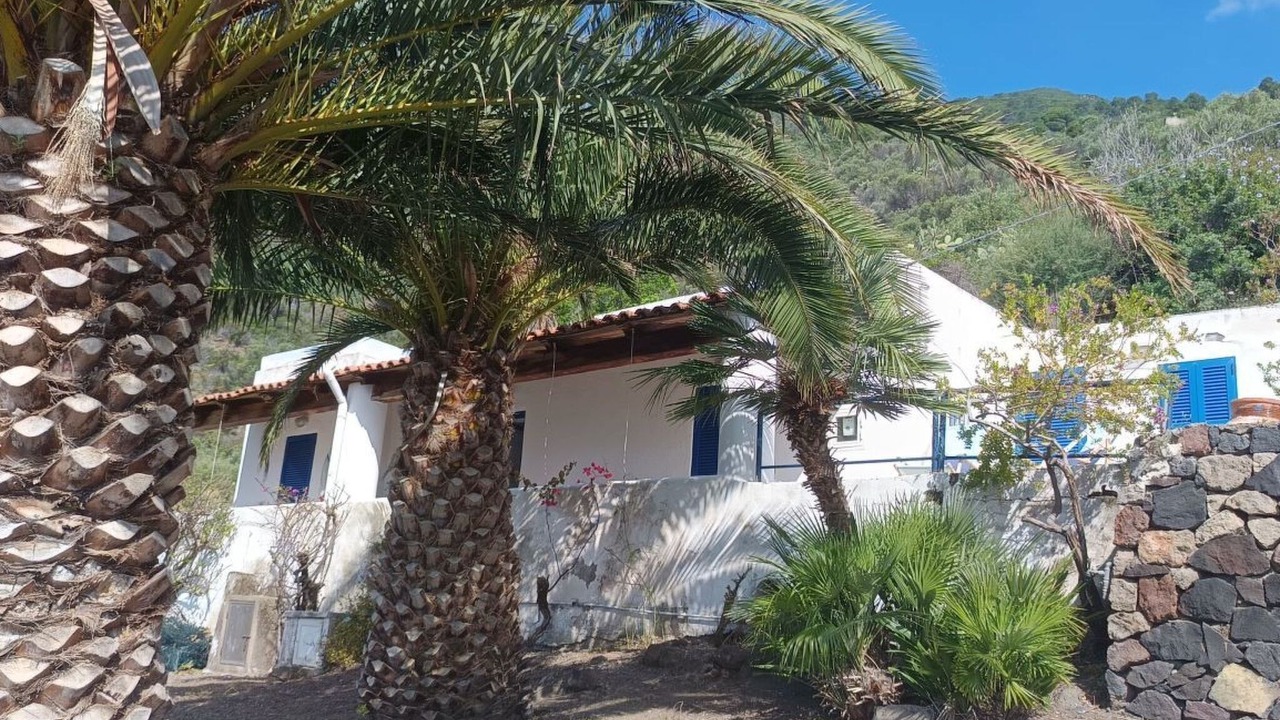 Photo of Outdoor in Lingua