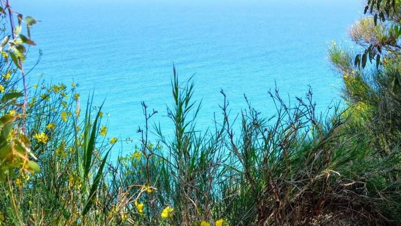 Photo of Others in Tusa