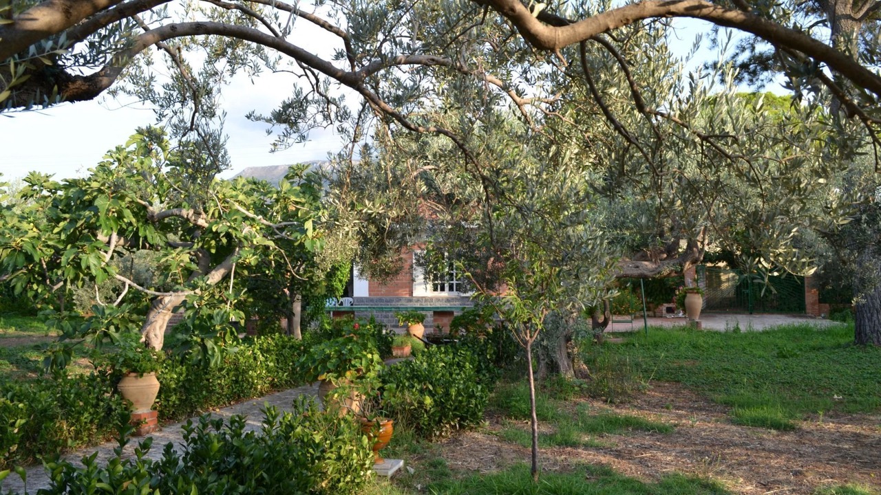Photo of Others in Acquedolci