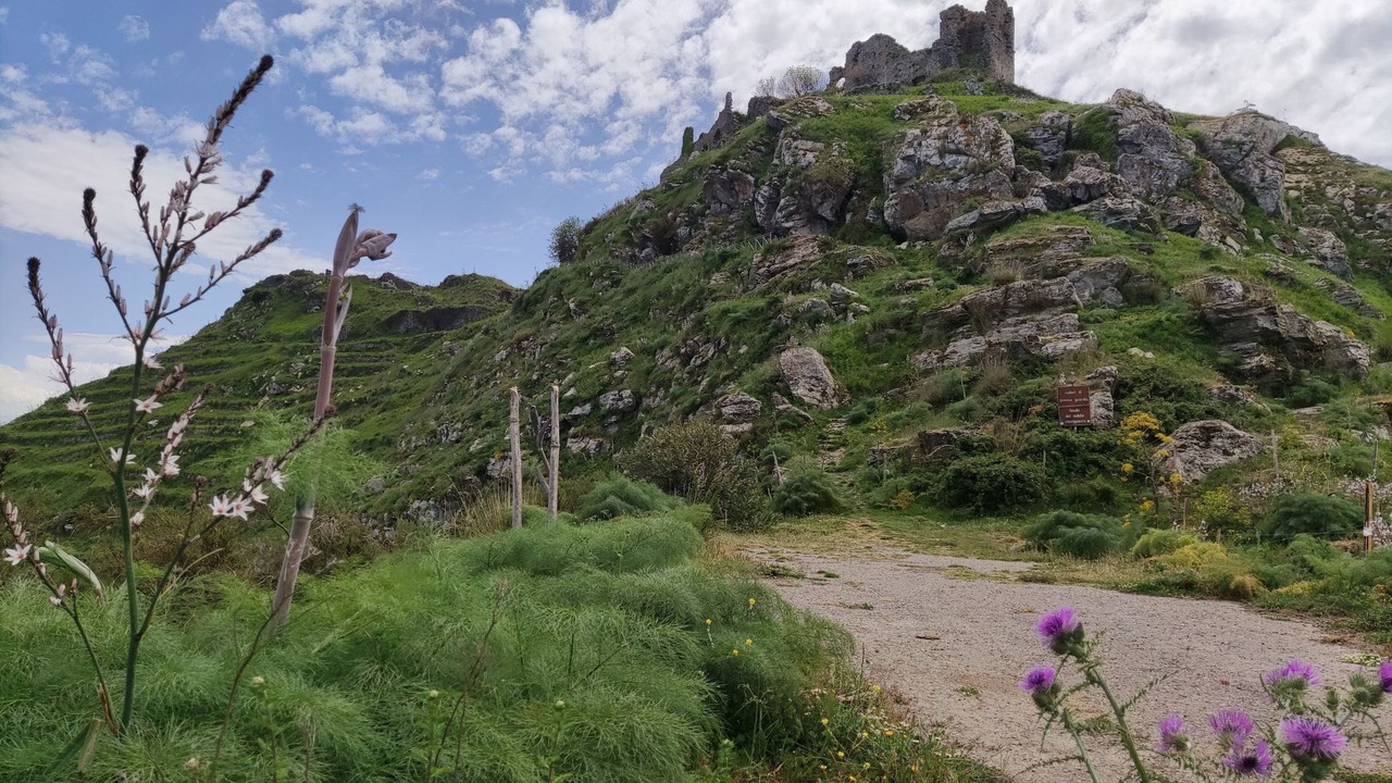 Photo of Others in Gioiosa Marea