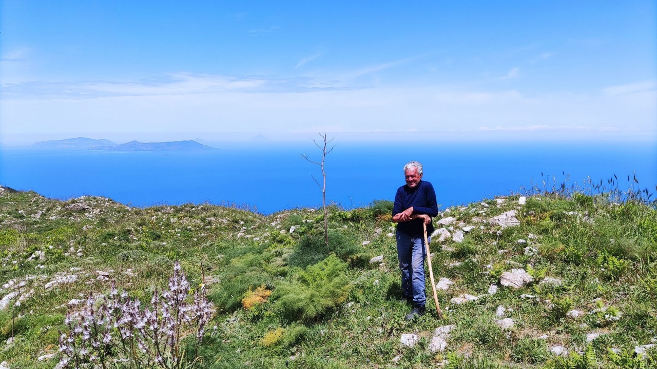Photo of Others in Gioiosa Marea