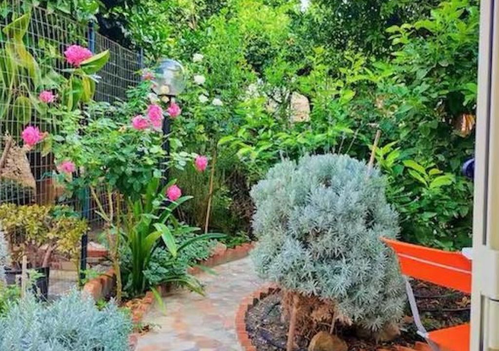 Photo of Patio Balcony in Furnari