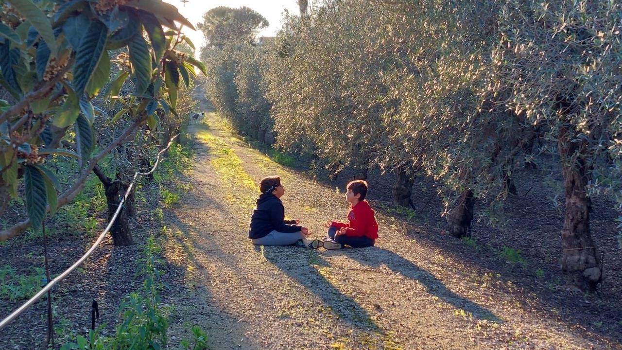 Photo of Others in Partinico