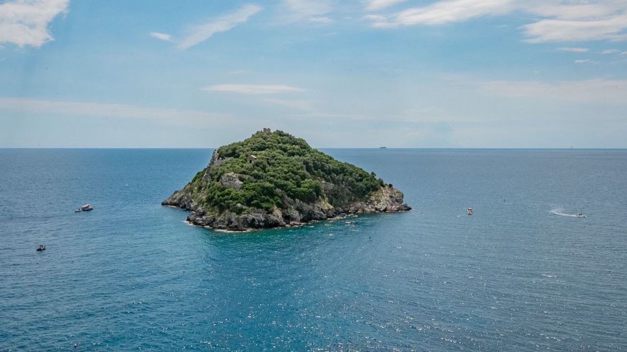 Photo of Others in Torre del Mare