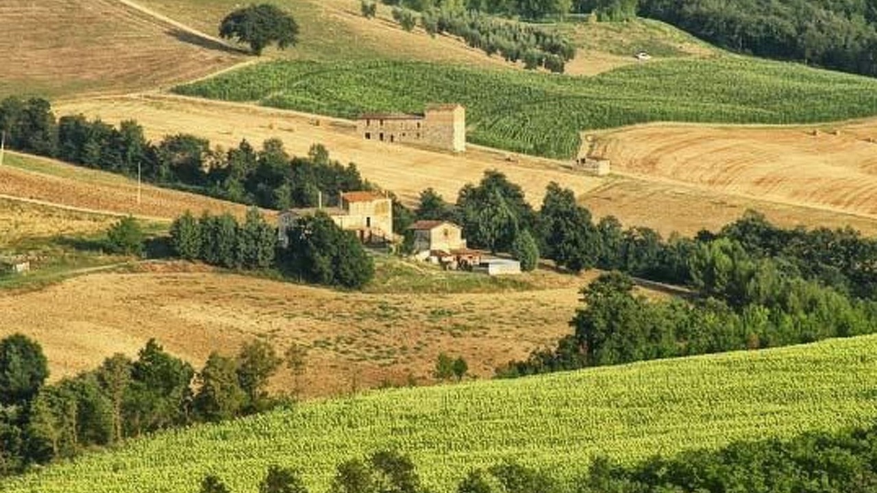 Photo of Others in San Venanzo
