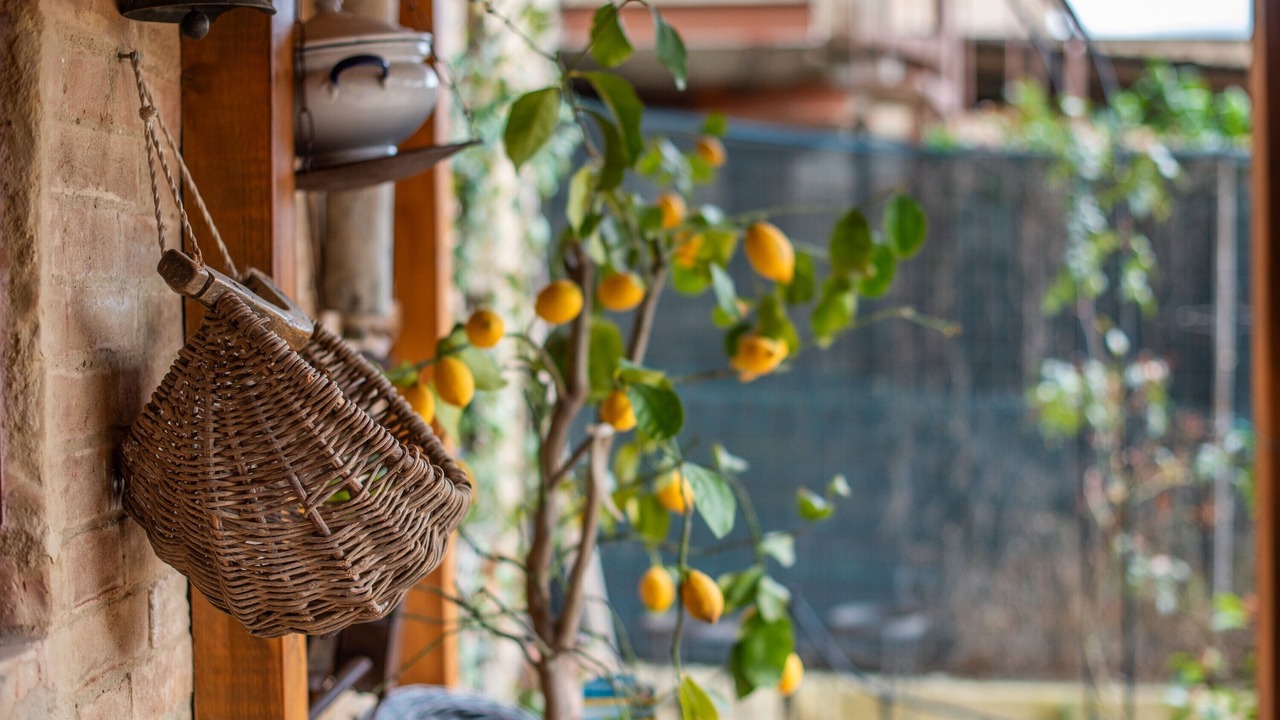 Photo of Outdoor in Buonconvento