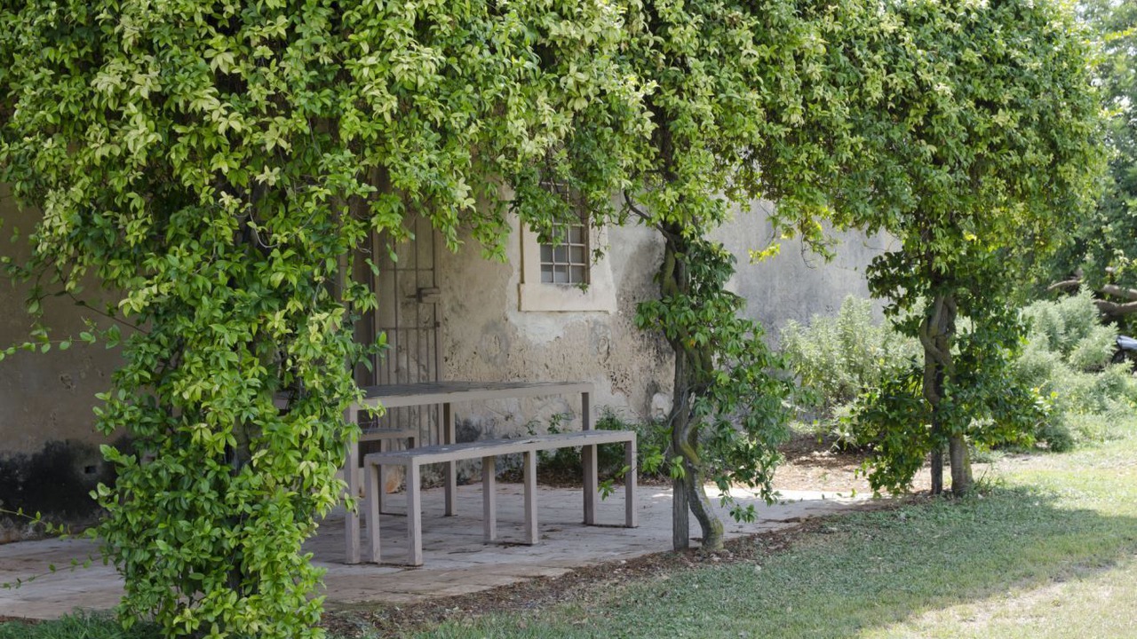 Photo of Outdoor in Noto