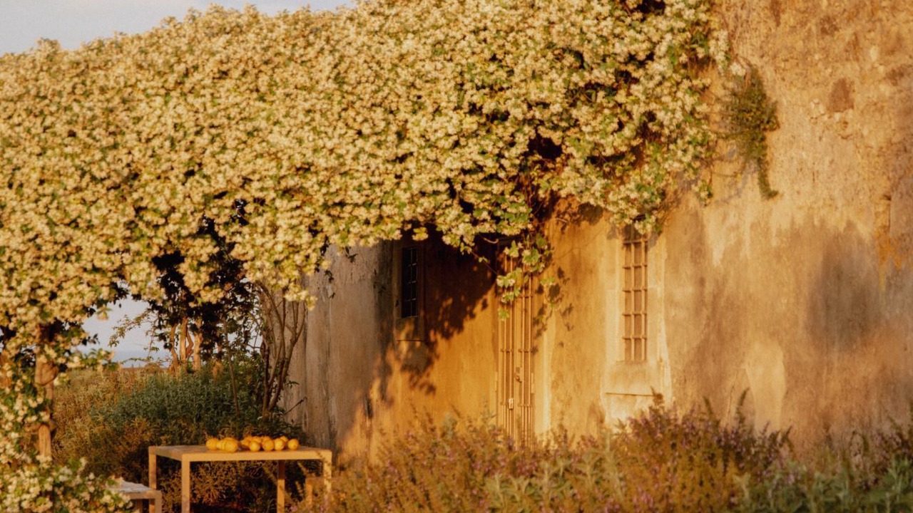 Photo of Outdoor in Noto