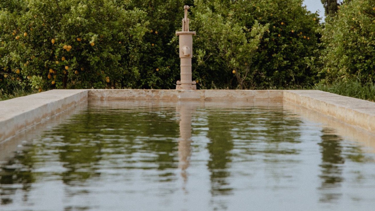 Photo of Others in Noto