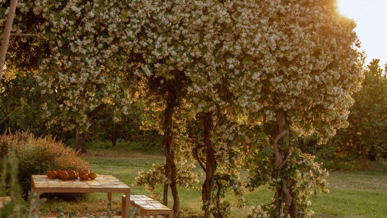 Photo of Outdoor in Noto