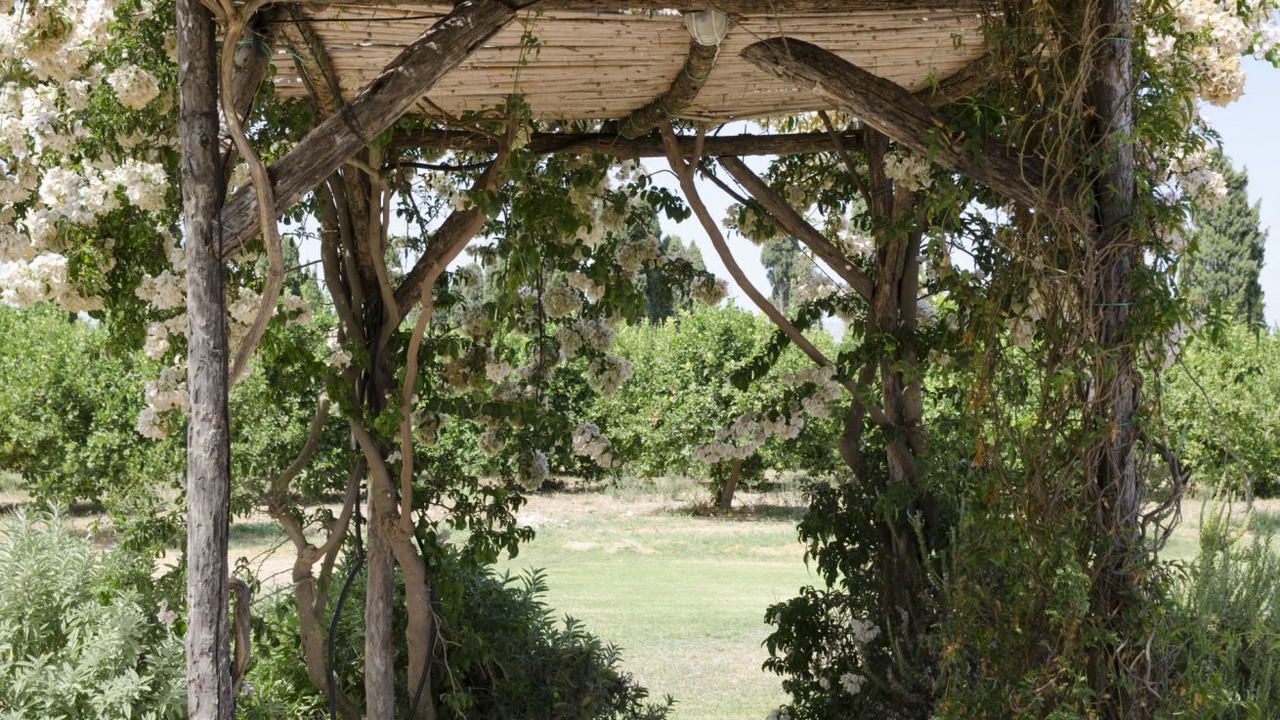 Photo of Outdoor in Noto