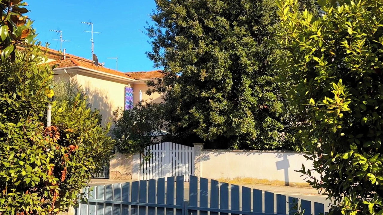 Photo of Outdoor in Marina di Cecina