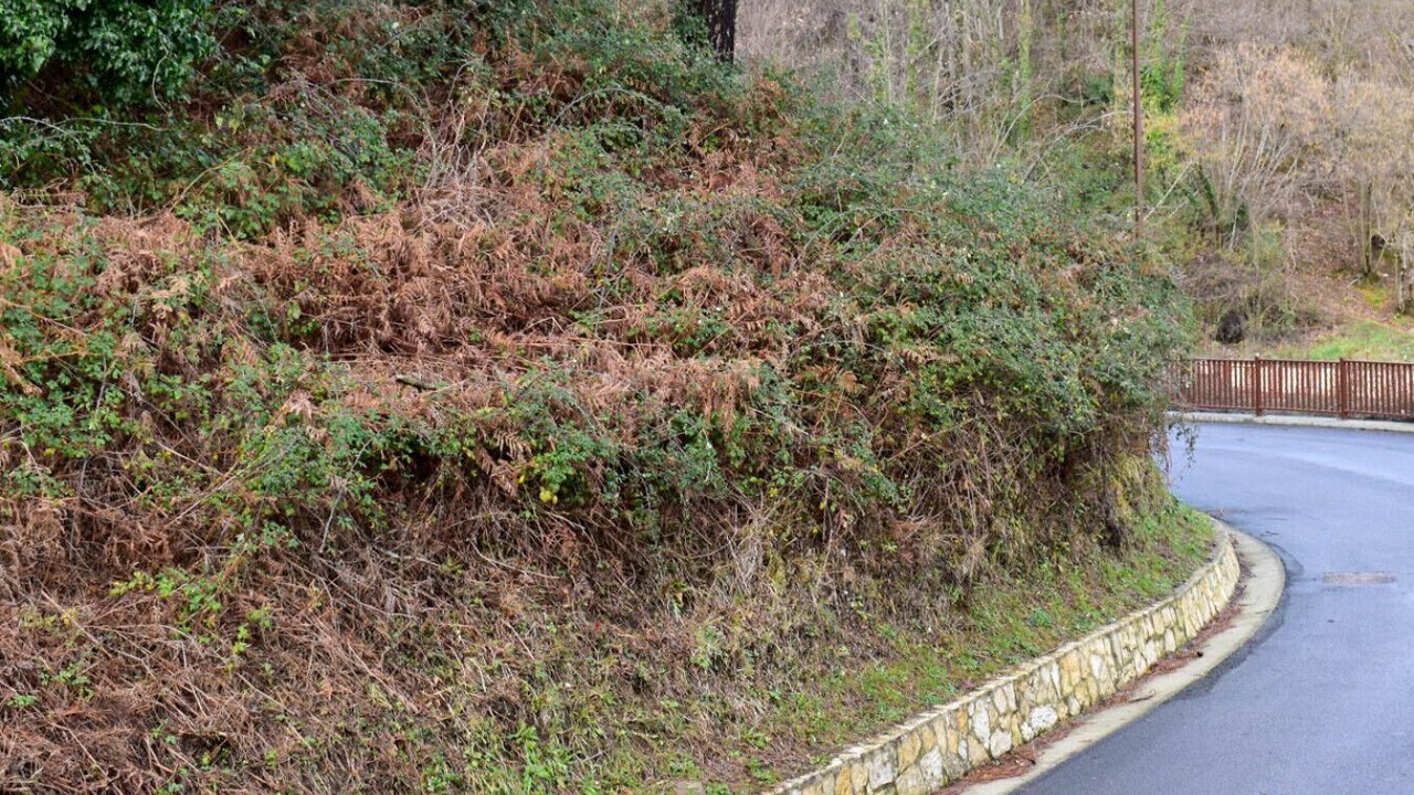 Photo of Others in Monteforte Irpino