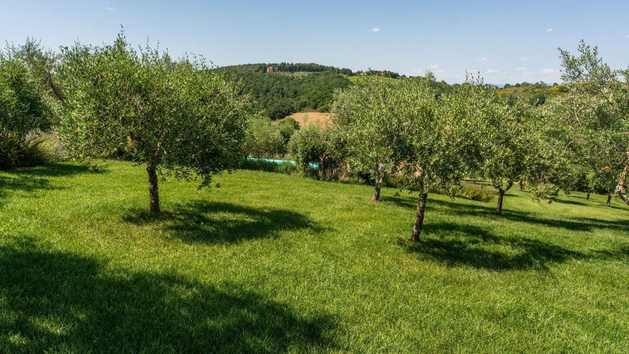 Photo of Outdoor in Montepulciano