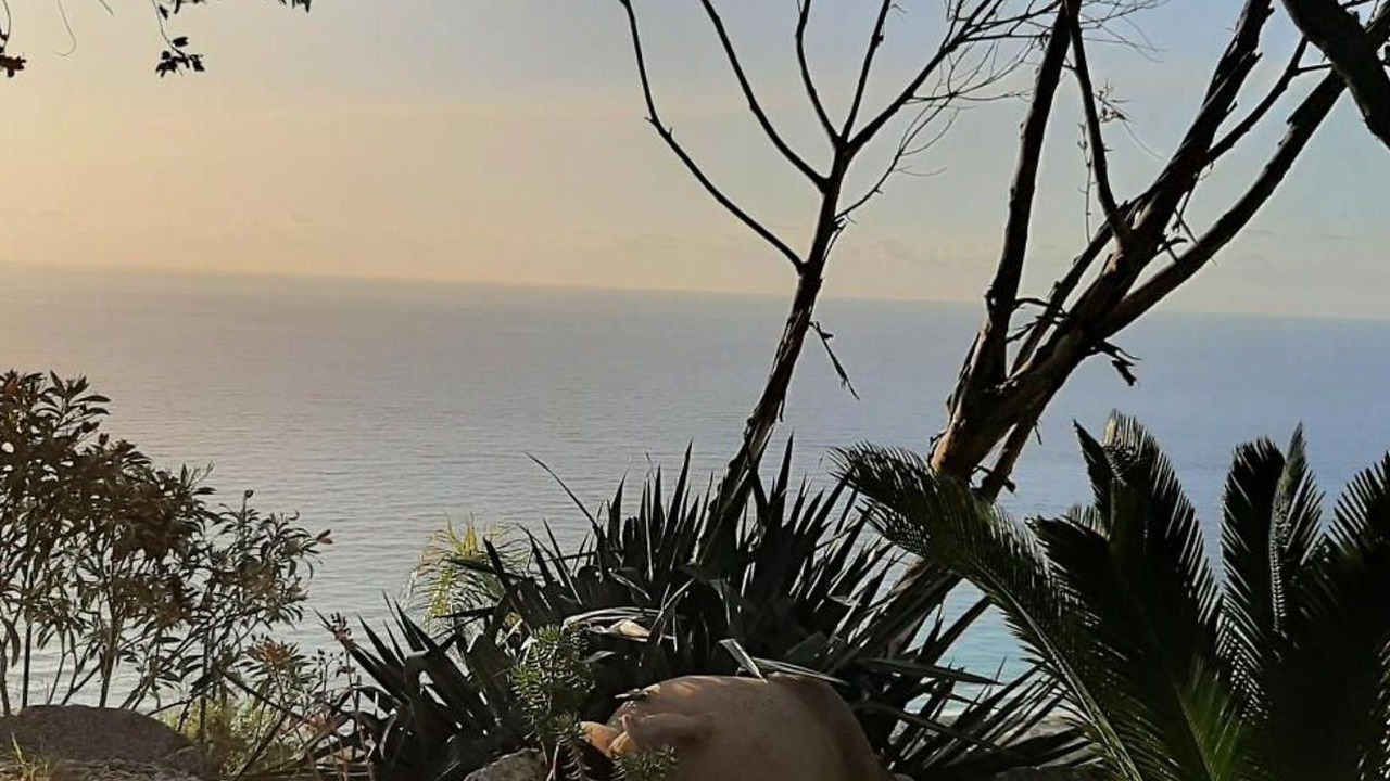 Photo of Others in Marina di Zambrone