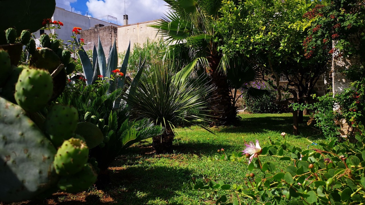 Photo of Outdoor in Specchia