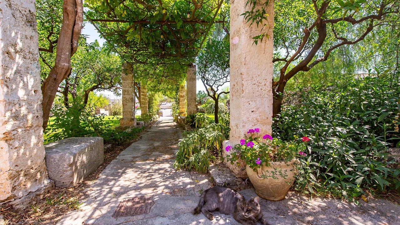 Photo of Outdoor in Specchia