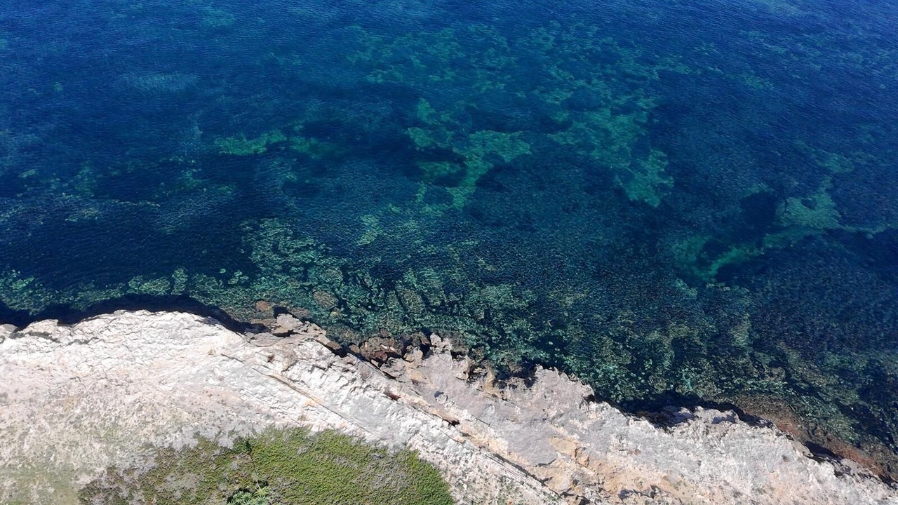 Photo of Outdoor in Erice