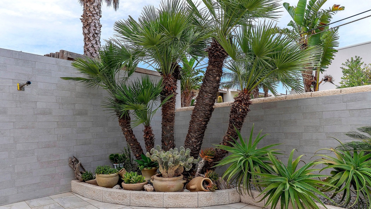 Photo of Outdoor in Avola