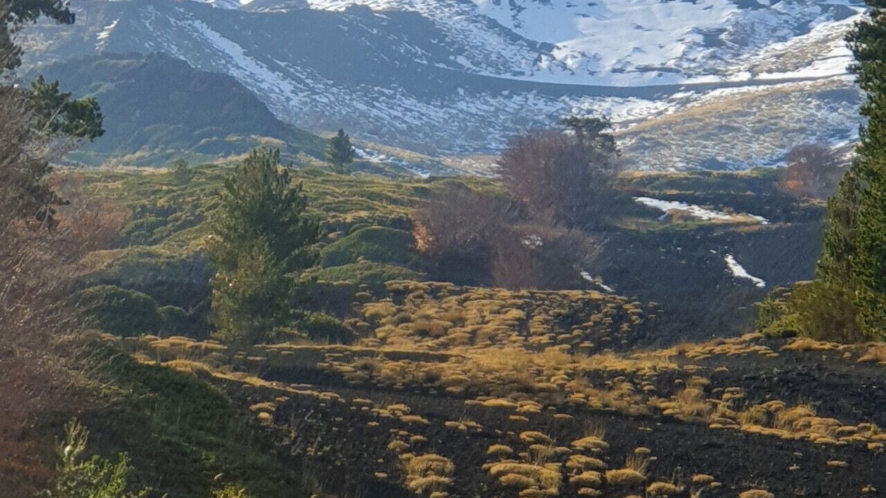 Photo of Others in Piedimonte Etneo