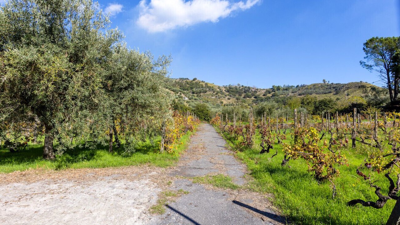 Photo of Others in Piedimonte Etneo