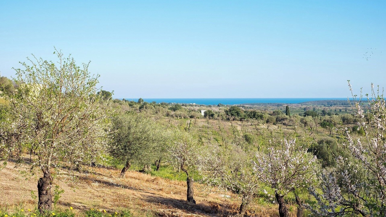 Photo of Others in Noto