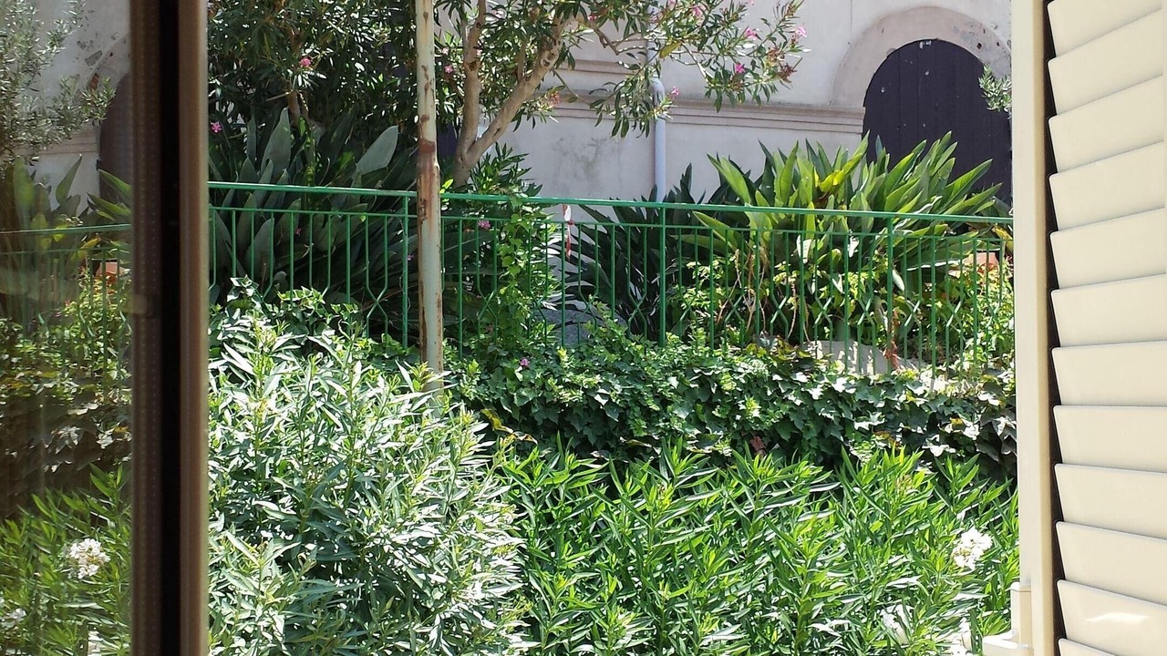 Photo of Outdoor in Gioiosa Marea