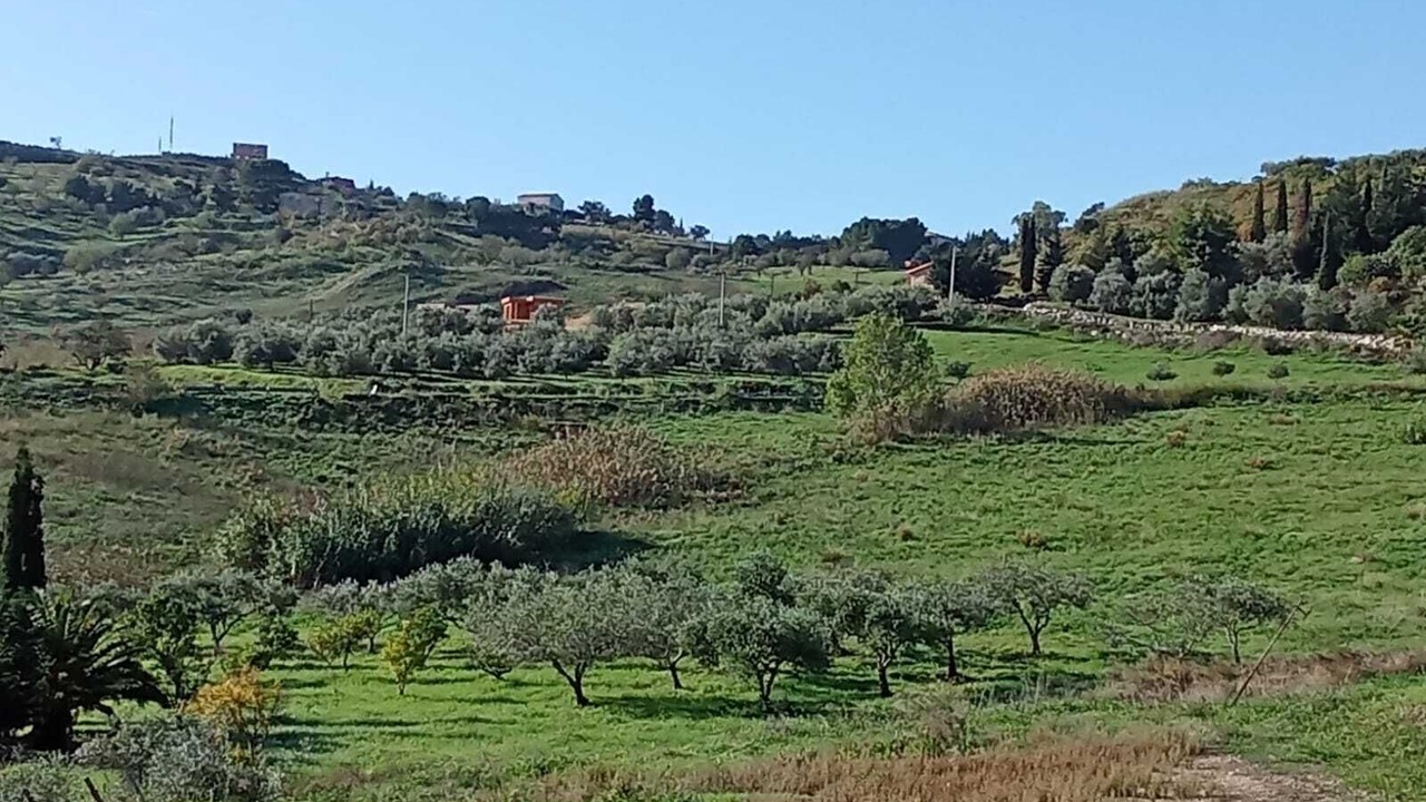 Photo of Others in Santa Elisabetta