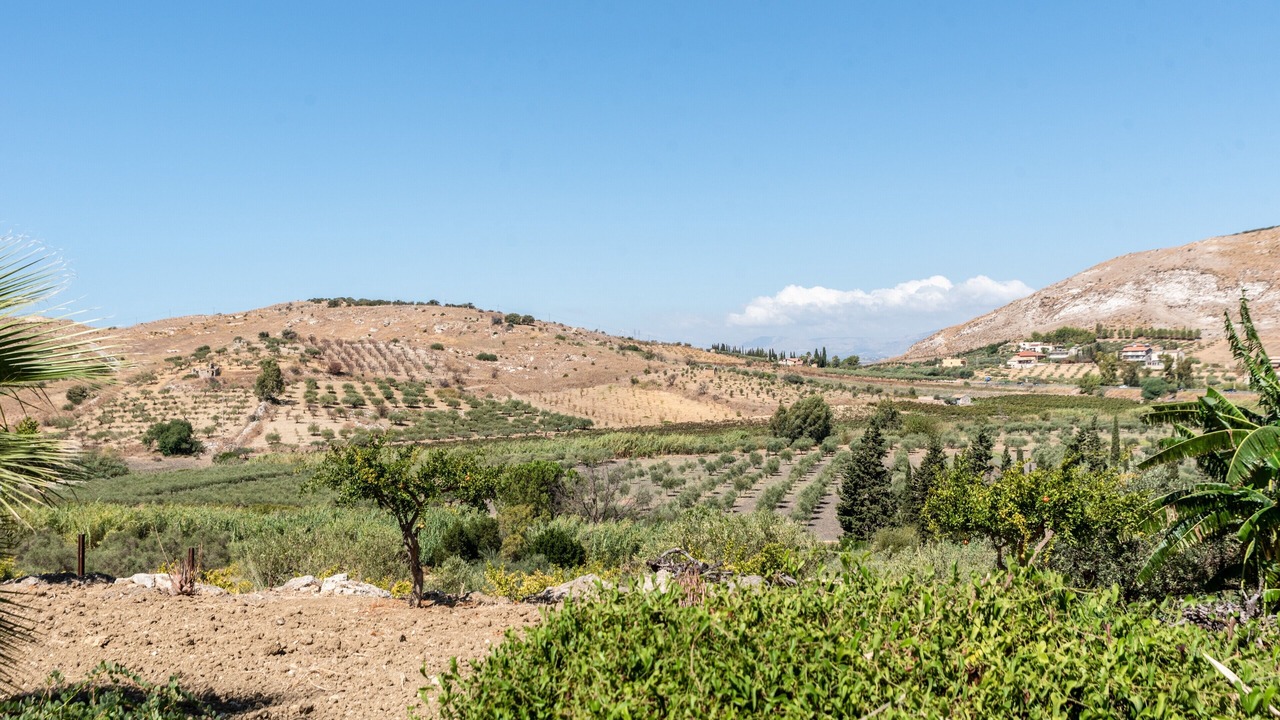 Photo of Others in Montallegro