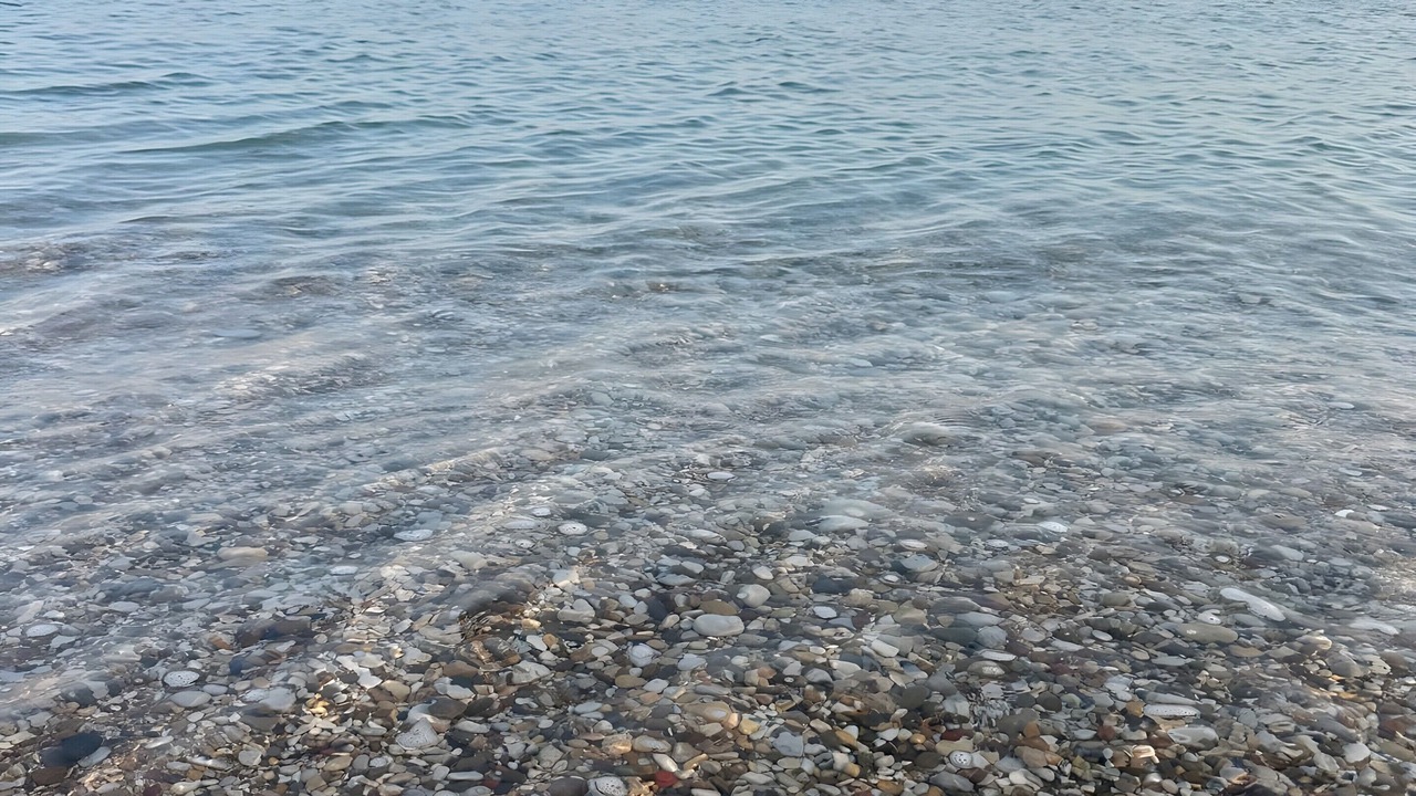 Photo of Others in Trappeto