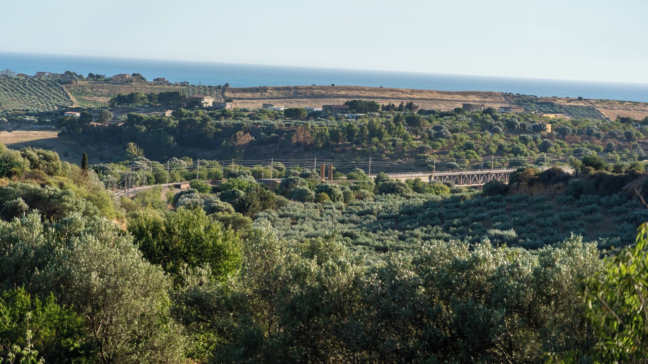 Photo of Others in Agrigento