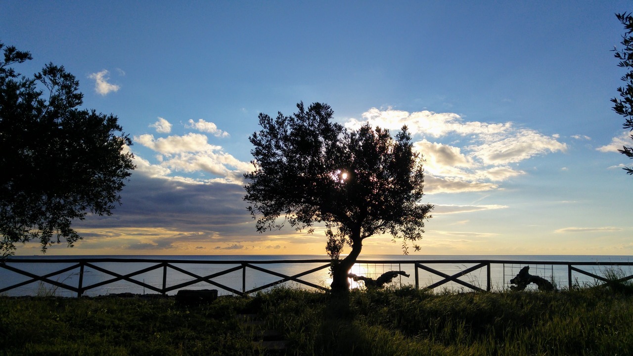 Photo of Others in Sciacca