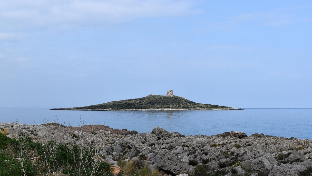 Photo of Others in Isola delle Femmine