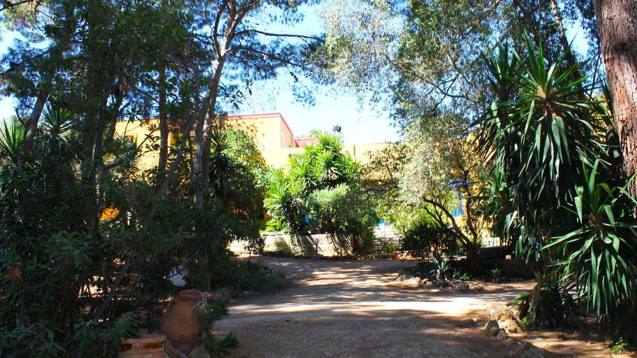 Photo of Outdoor in Mockarta