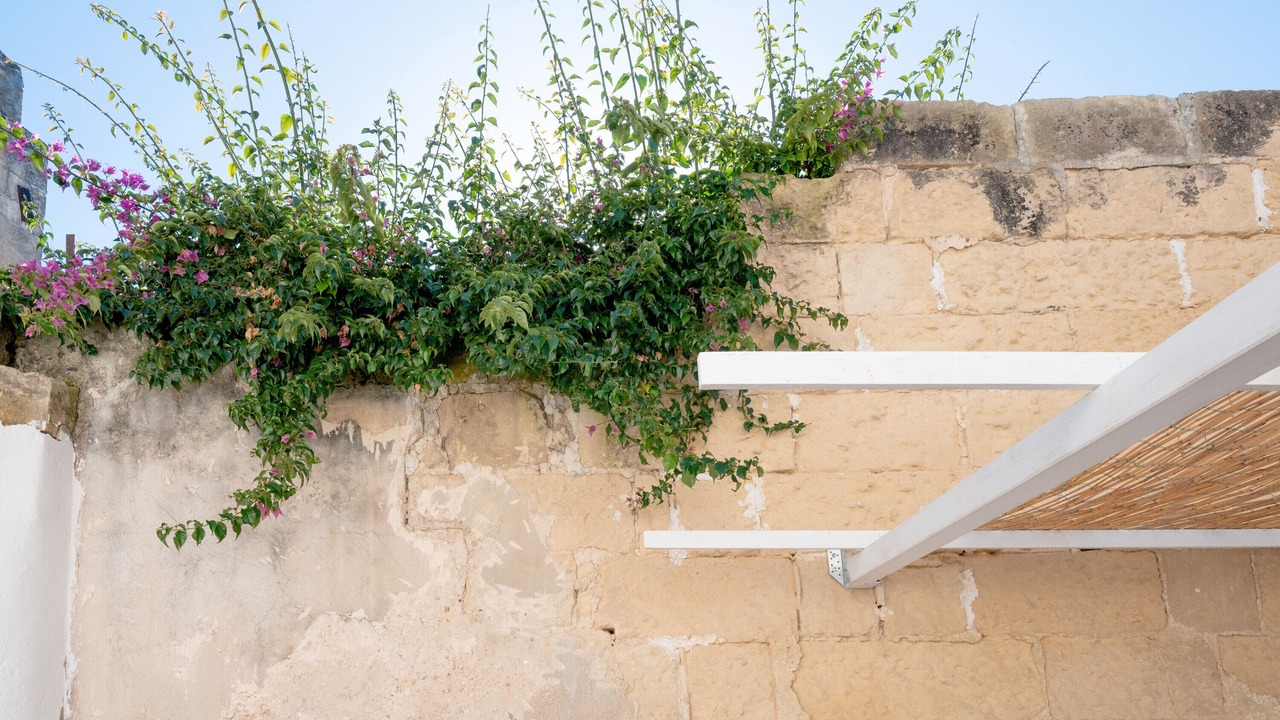Photo of Outdoor in San Cesario di Lecce