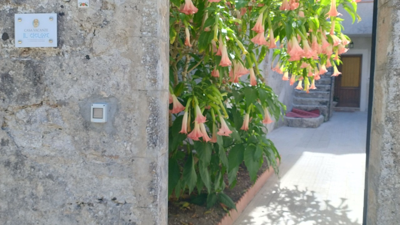 Photo of Outdoor in Erice