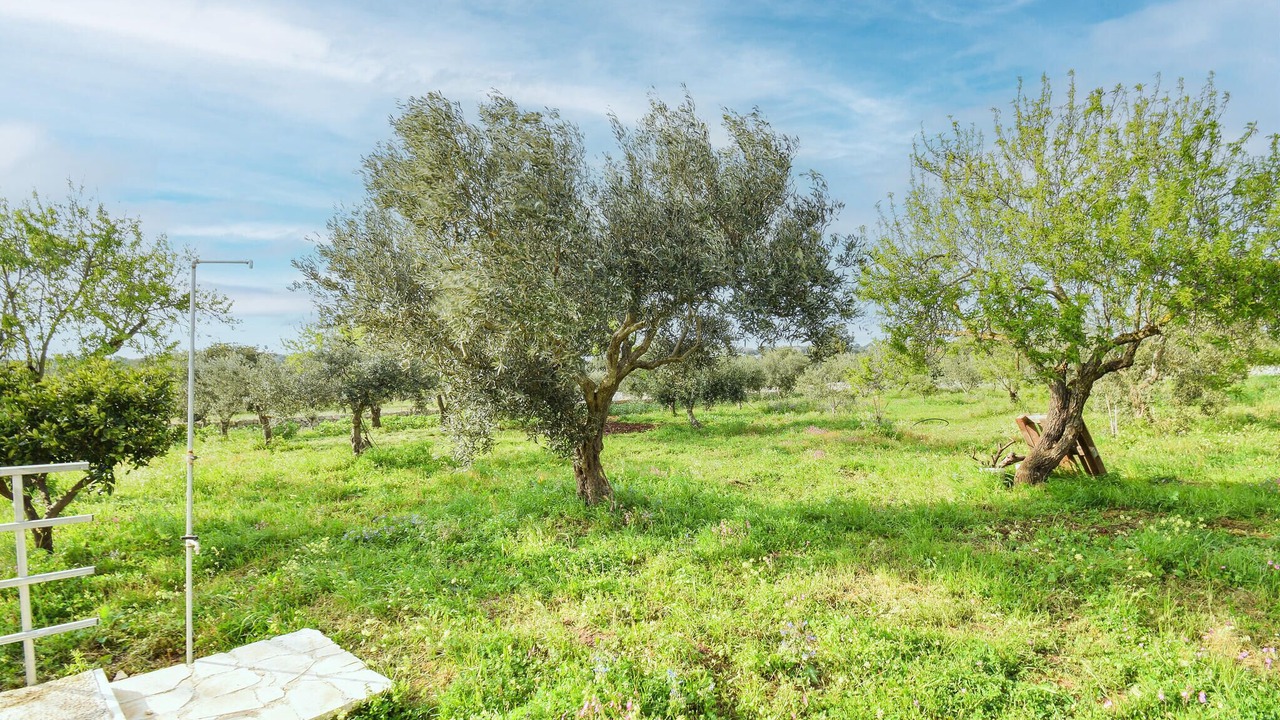 Photo of Others in Scicli