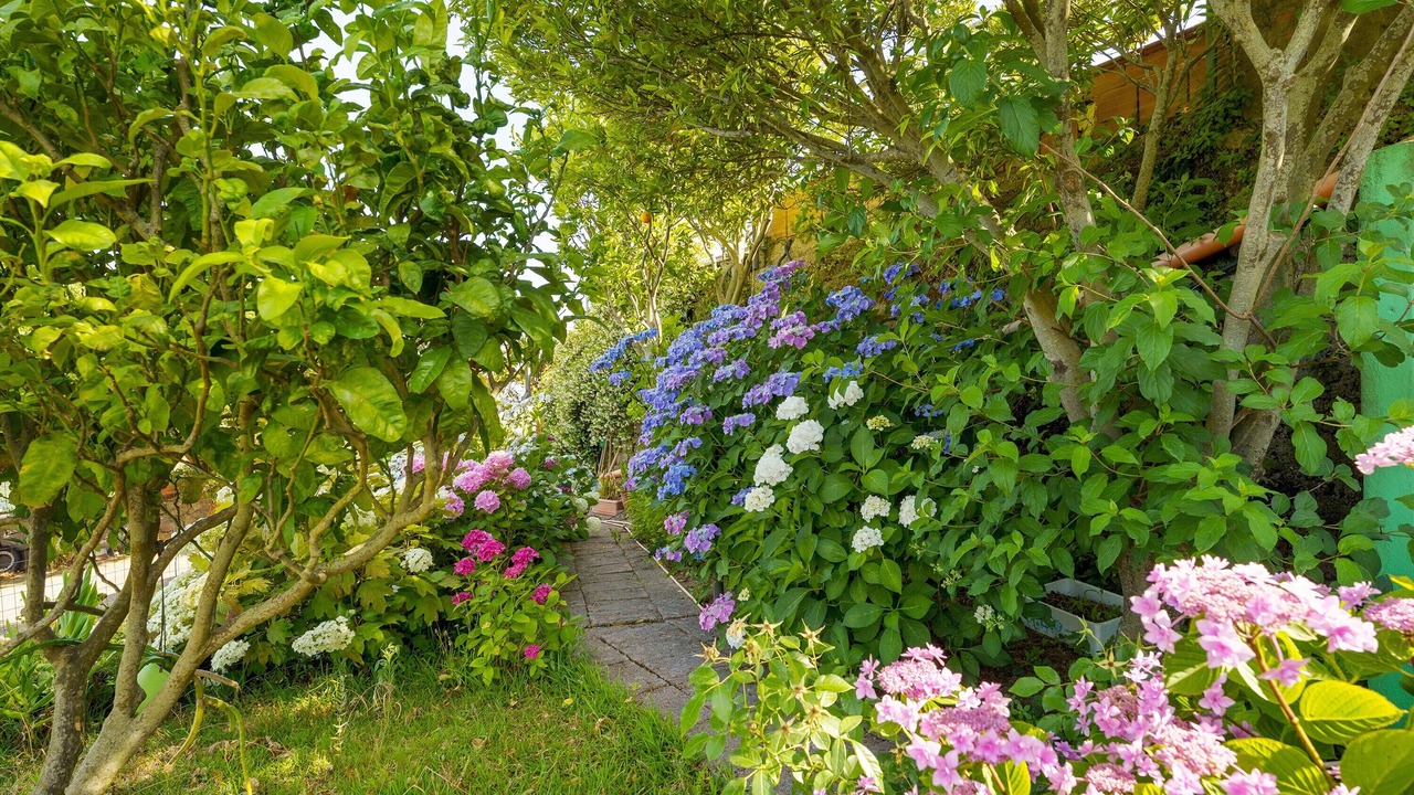 Photo of Outdoor in Fiaiano