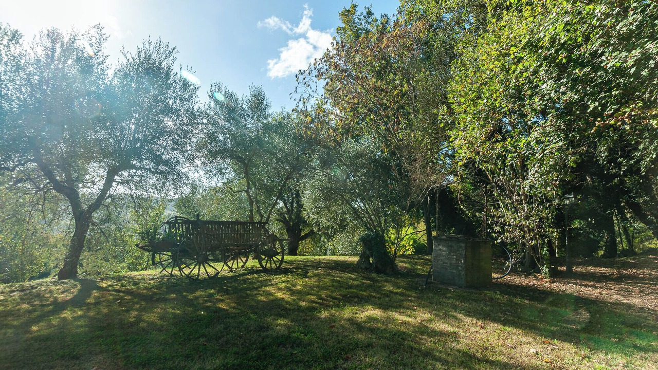 Photo of Outdoor in Giove
