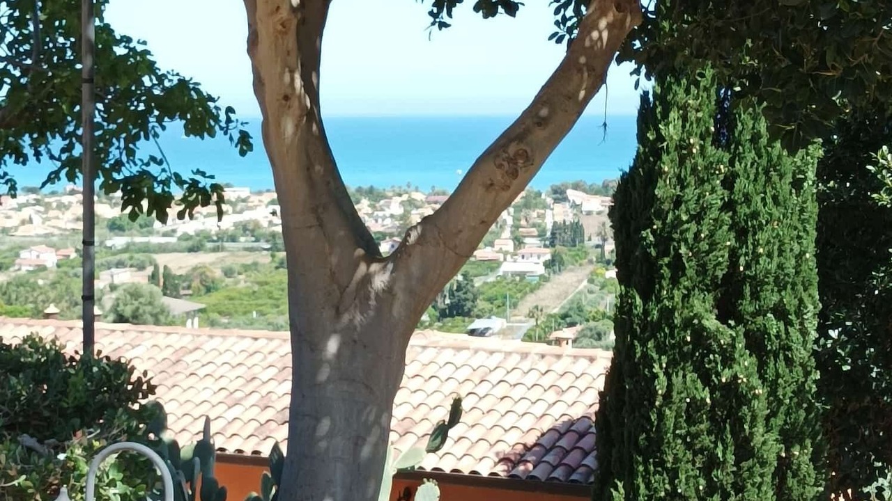 Photo of Outdoor in Campofelice di Roccella