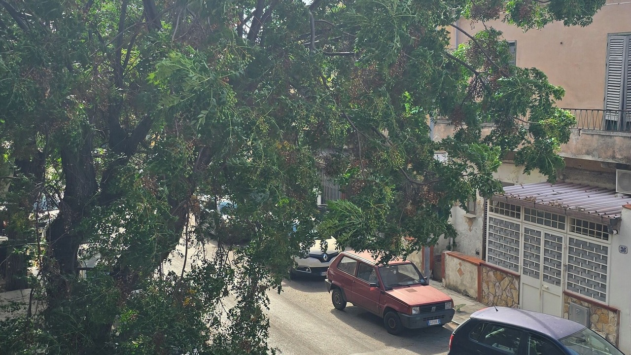 Photo of Outdoor in Partanna