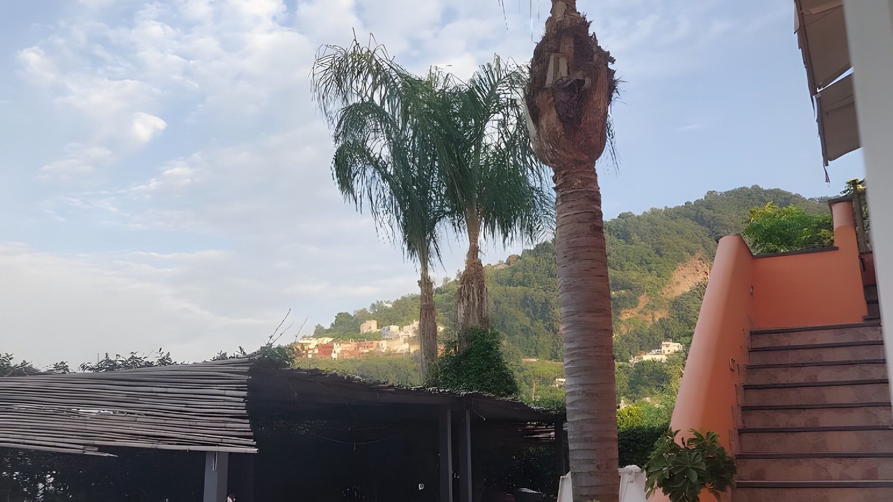 Photo of Outdoor in Ischia Ponte