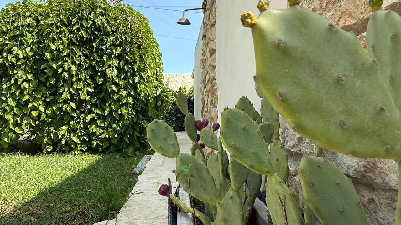 Photo of Outdoor in Floridia