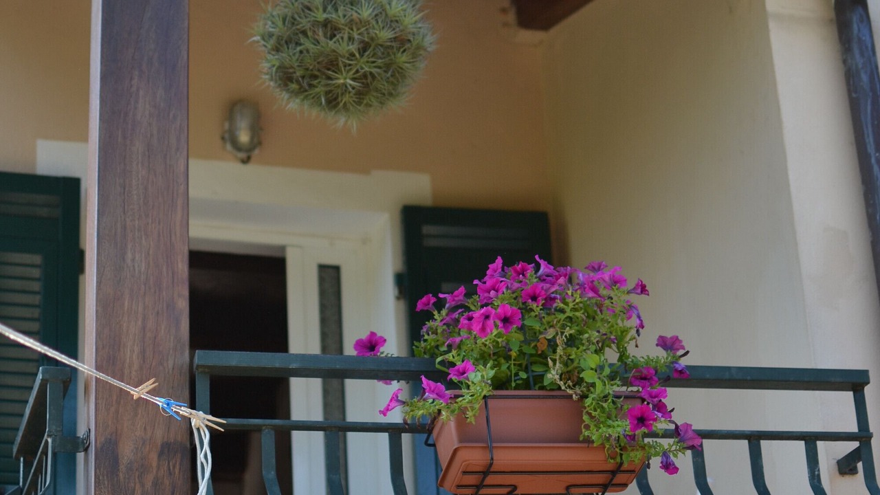 Photo of Outdoor in Carrodano Inferiore