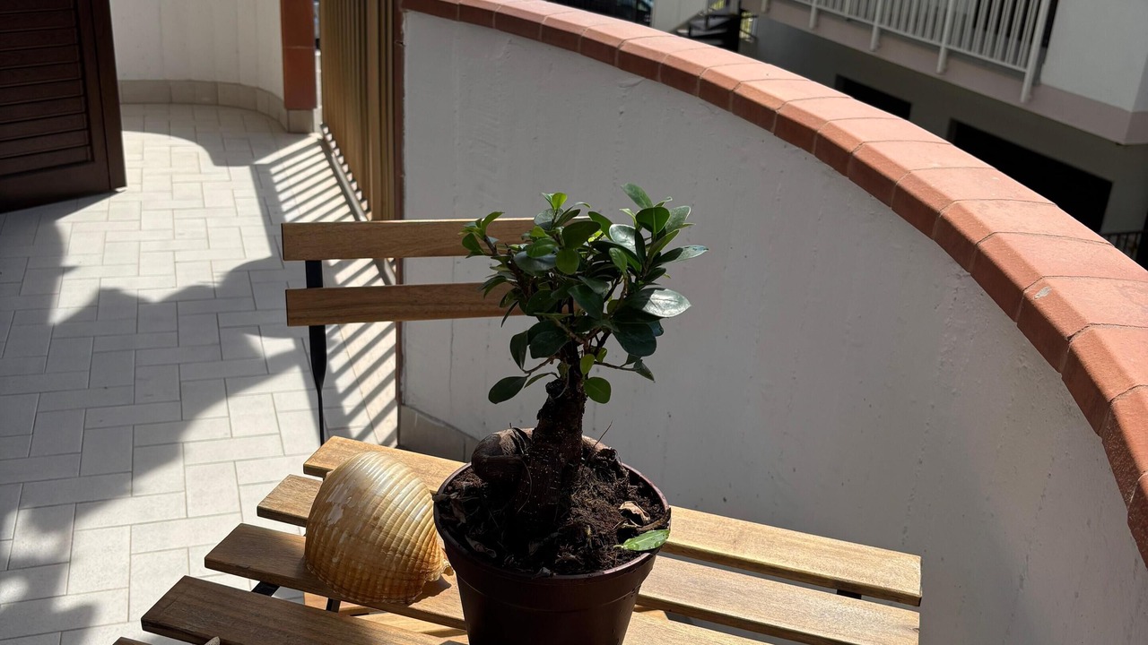 Photo of Outdoor in Fondachello