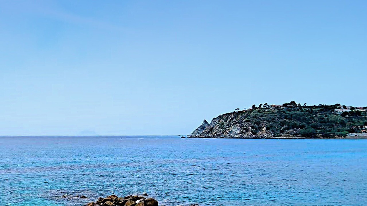Photo of Others in Palmi