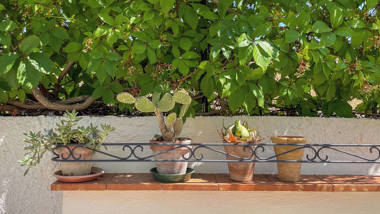Photo of Outdoor in Sambuca di Sicilia