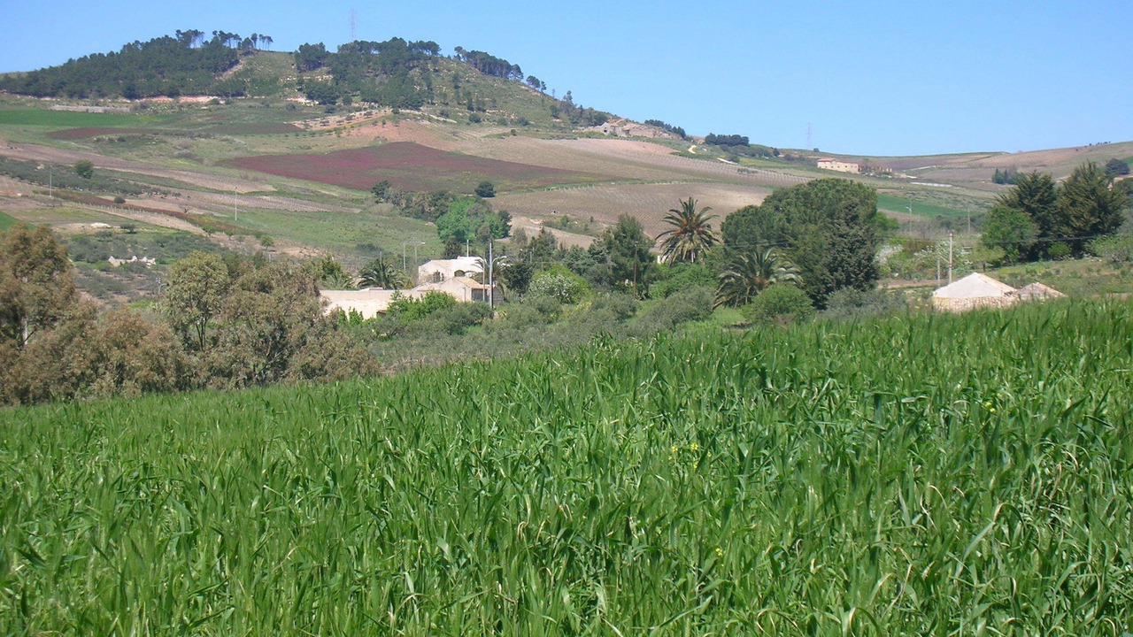 Photo of Others in Buseto Palizzolo