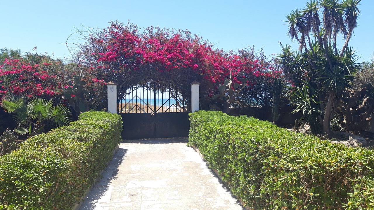 Photo of Outdoor in Pachino