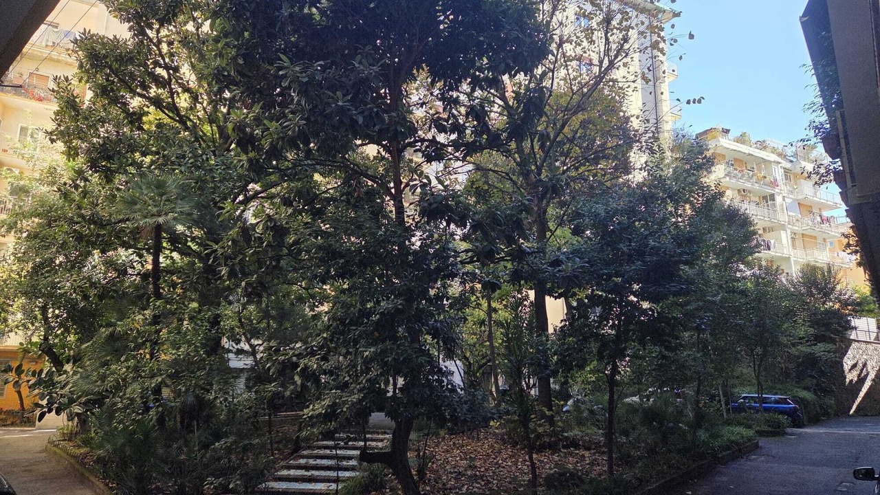 Photo of Outdoor in Vomero